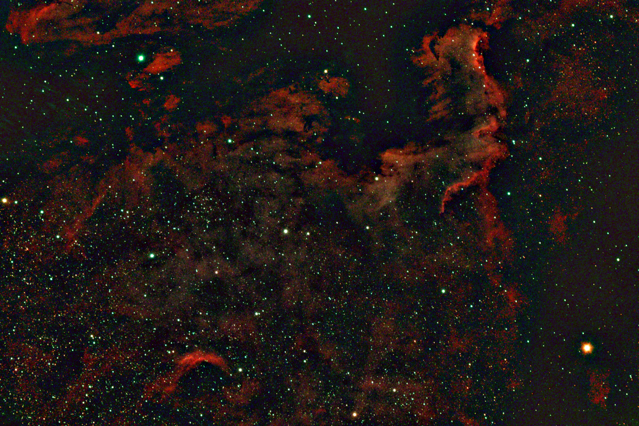 NGC 7000 - Nébuleuse de l'Amérique du Nord